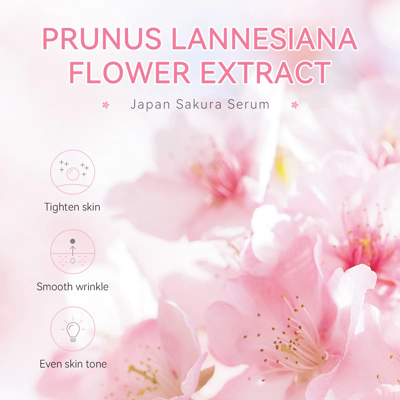 Sakura Whitening Face Serum An - Azelaic Acid Serum ulasan dan harga