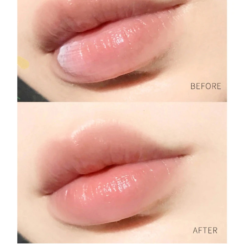 1Pc Natural Plant Lip Balm Moi - Skincare Basic ulasan dan harga